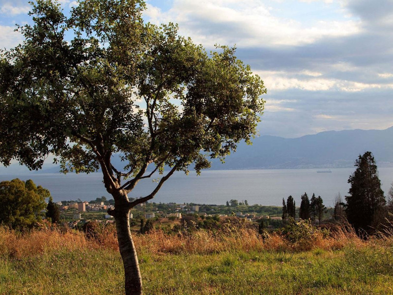 Immagine descrittiva - http://www.parcoecolandia.it/ecosite/