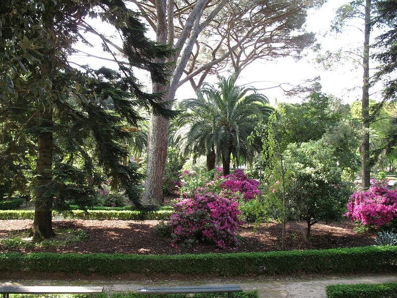 Immagine descrittiva - https://commons.wikimedia.org/wiki/User:GJo Immagine descrittiva - https://commons.wikimedia.org/wiki/User:GJo