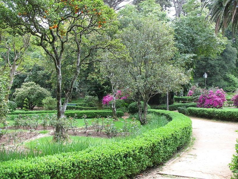 Immagine descrittiva - https://commons.wikimedia.org/wiki/User:GJo Immagine descrittiva - https://commons.wikimedia.org/wiki/User:GJo