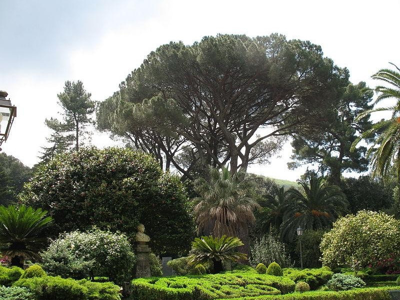 Immagine descrittiva - https://commons.wikimedia.org/wiki/User:GJo Immagine descrittiva - https://commons.wikimedia.org/wiki/User:GJo