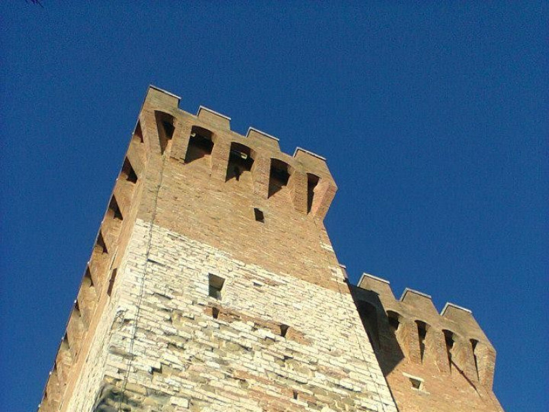 Immagine descrittiva - https://commons.wikimedia.org/wiki/User:Ricci%20Mariagrazia