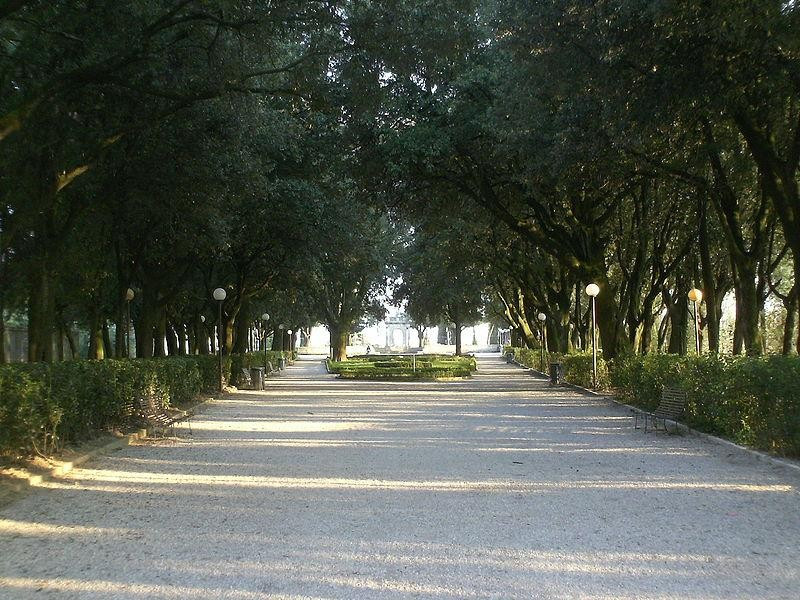 Immagine descrittiva - https://commons.wikimedia.org/wiki/User:Grifomaniacs