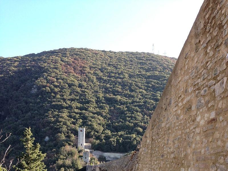 Immagine descrittiva - https://commons.wikimedia.org/wiki/User:Manuelarosi Immagine descrittiva - https://commons.wikimedia.org/wiki/User:Manuelarosi