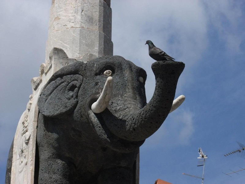 Immagine descrittiva - https://commons.wikimedia.org/wiki/User:Dfg13 Immagine descrittiva - https://commons.wikimedia.org/wiki/User:Dfg13