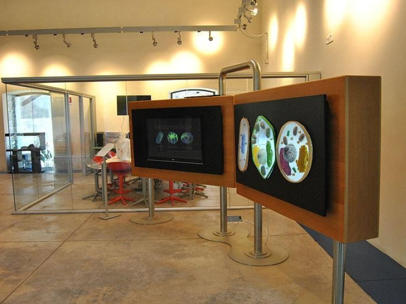 Immagine descrittiva - https://commons.wikimedia.org/wiki/User:Archeo Immagine descrittiva - https://commons.wikimedia.org/wiki/User:Archeo