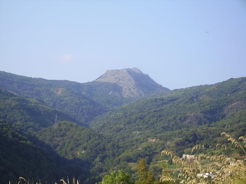 Immagine descrittiva - https://it.wikipedia.org/wiki/Monte_Cocuzzo#/media/File:Cocuzzo.JPG Immagine descrittiva - https://it.wikipedia.org/wiki/Monte_Cocuzzo#/media/File:Cocuzzo.JPG