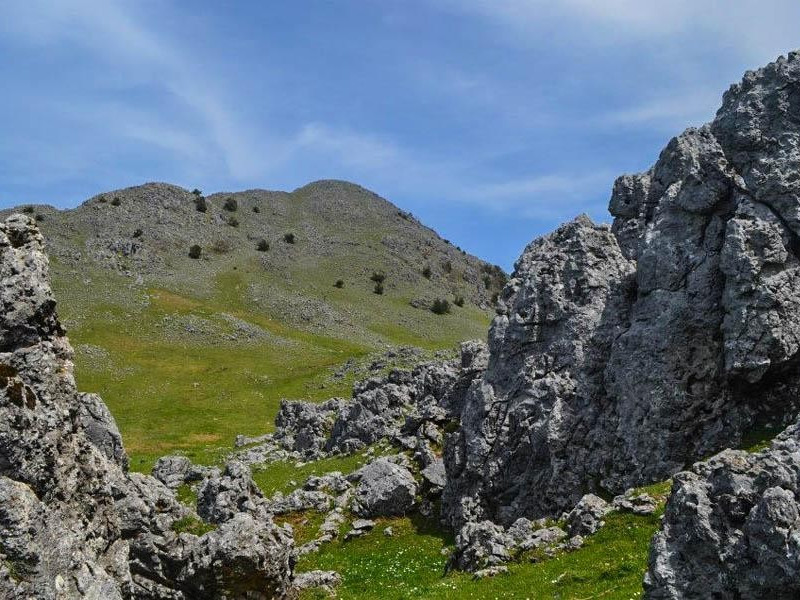 Immagine descrittiva - visitcosenza.it Immagine descrittiva - visitcosenza.it
