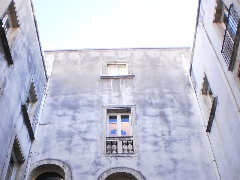 Immagine descrittiva - https://it.wikipedia.org/wiki/User:Zoologo Immagine descrittiva - https://it.wikipedia.org/wiki/User:Zoologo