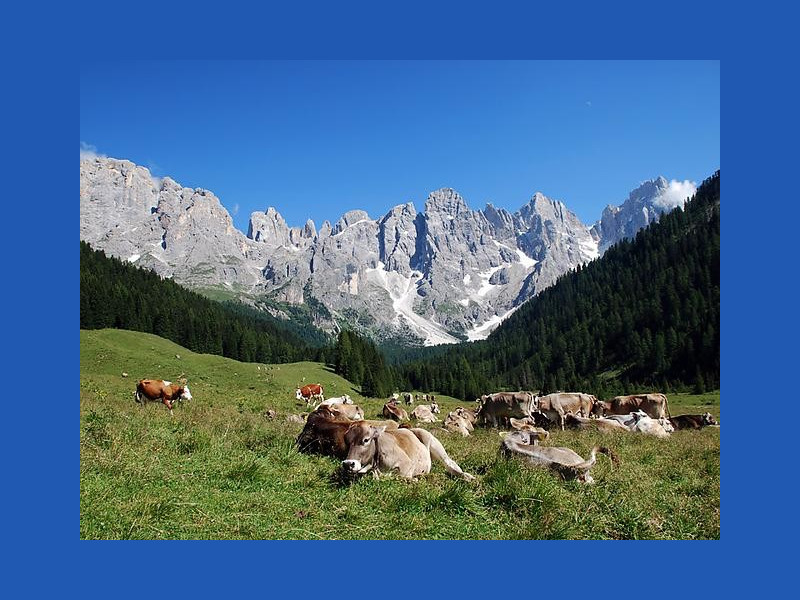 Immagine descrittiva - http://www.parcopan.org/it/visita/localita/val-venegia-p49.html