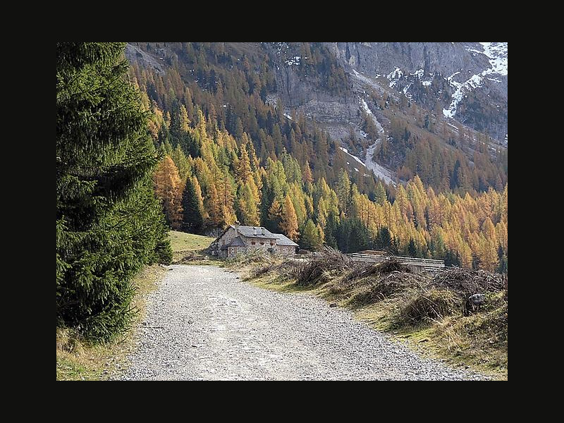 Immagine descrittiva - http://www.parcopan.org/it/visita/localita/val-venegia-p49.html