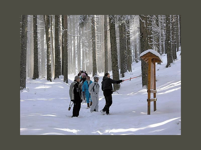 Immagine descrittiva - http://www.parcopan.org/it/visita/i-sentieri-tematici/sentiero-marcio-p61.html