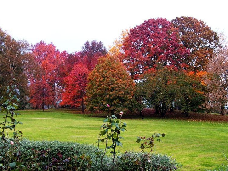 Immagine descrittiva -  http://www.sanliberato.it/giardino-botanico-lago-di-bracciano.php# Immagine descrittiva -  http://www.sanliberato.it/giardino-botanico-lago-di-bracciano.php#