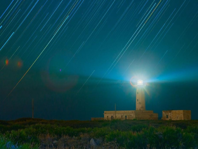 Immagine descrittiva - https://commons.wikimedia.org/wiki/User:Dario%20Giannobile Immagine descrittiva - https://commons.wikimedia.org/wiki/User:Dario%20Giannobile