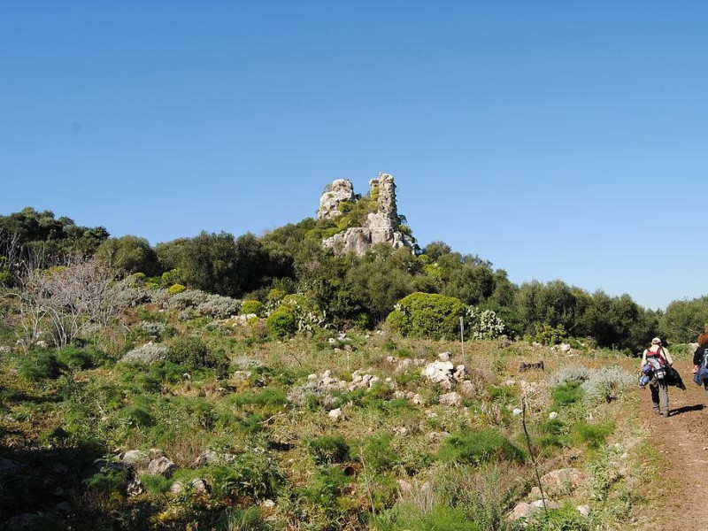 Immagine descrittiva - https://commons.wikimedia.org/wiki/User:Archeo Immagine descrittiva - https://commons.wikimedia.org/wiki/User:Archeo