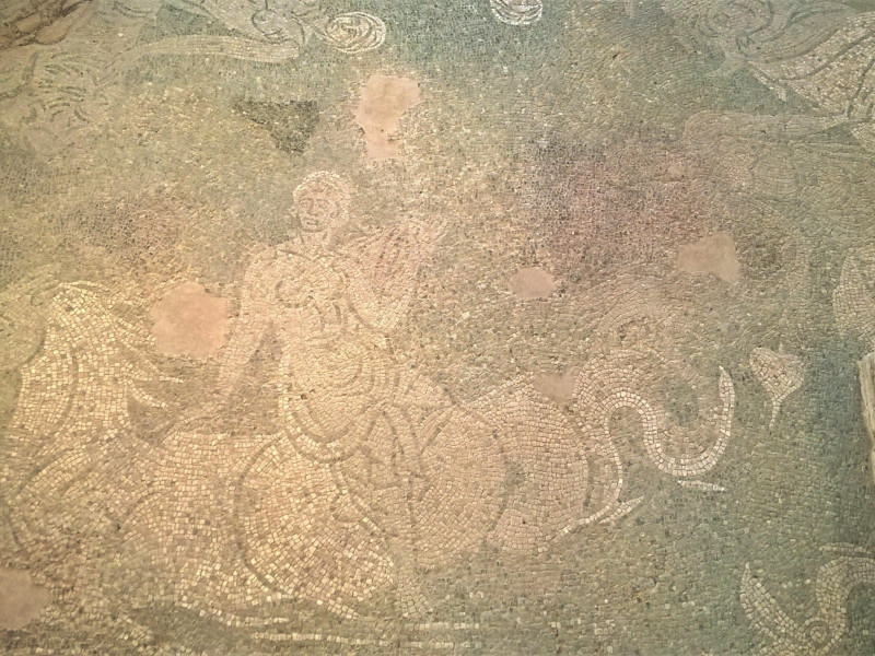 Mosaico delle Nereidi Mosaico delle Nereidi