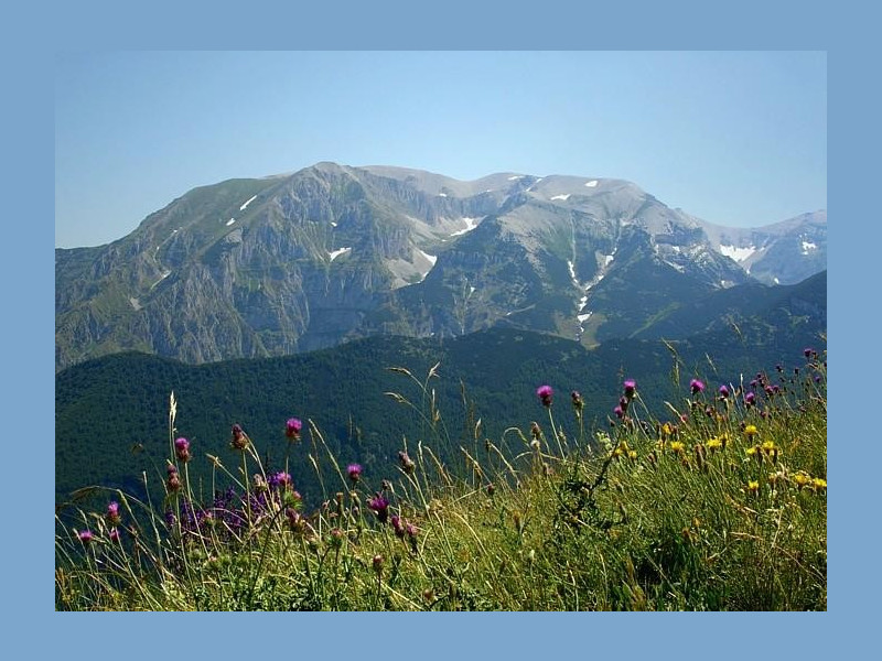 Immagine descrittiva - https://upload.wikimedia.org/wikipedia/commons/4/45/Majella001.jpg Immagine descrittiva - https://upload.wikimedia.org/wikipedia/commons/4/45/Majella001.jpg