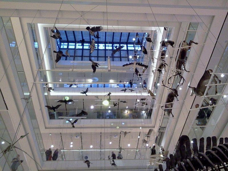 Immagine descrittiva - https://it.wikipedia.org/wiki/MuSe#/media/File:Vista_interna_del_Muse_Trento_3.jpg