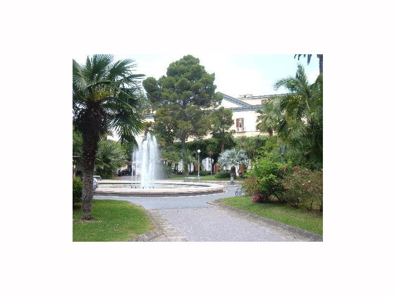 Immagine descrittiva - https://commons.wikimedia.org/w/index.php?title=User:P.Metastasio&action=edit&redlink=1 Immagine descrittiva - https://commons.wikimedia.org/w/index.php?title=User:P.Metastasio&action=edit&redlink=1