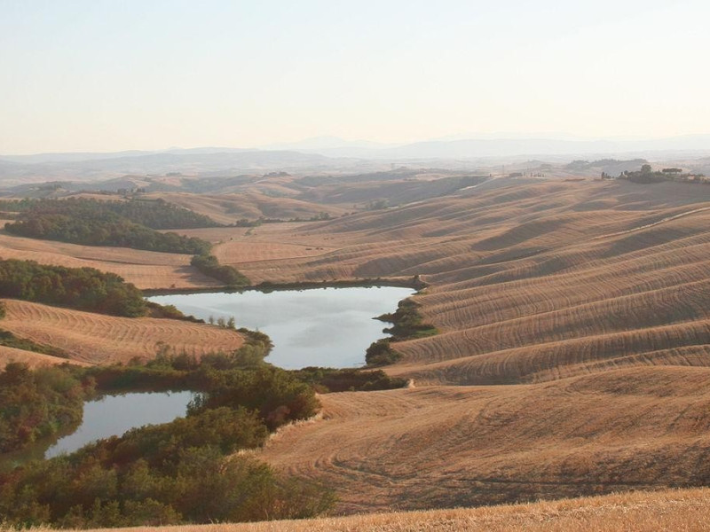 Immagine descrittiva - Wikipedia.org Immagine descrittiva - Wikipedia.org