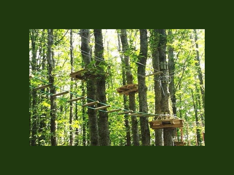 Immagine descrittiva - parcodeglielfi.it