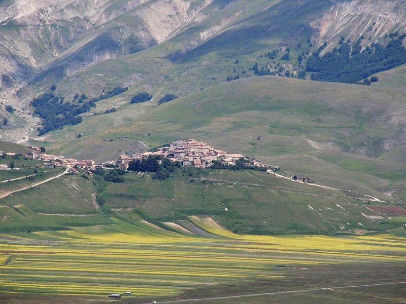 Immagine descrittiva - Di corinasdavide, CC BY 3.0, https://commons.wikimedia.org/w/index.php?curid=41717819 Immagine descrittiva - Di corinasdavide, CC BY 3.0, https://commons.wikimedia.org/w/index.php?curid=41717819