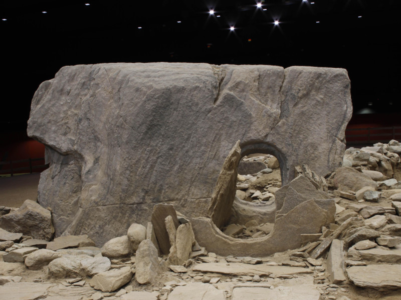 Immagine descrittiva -  Immagine descrittiva -