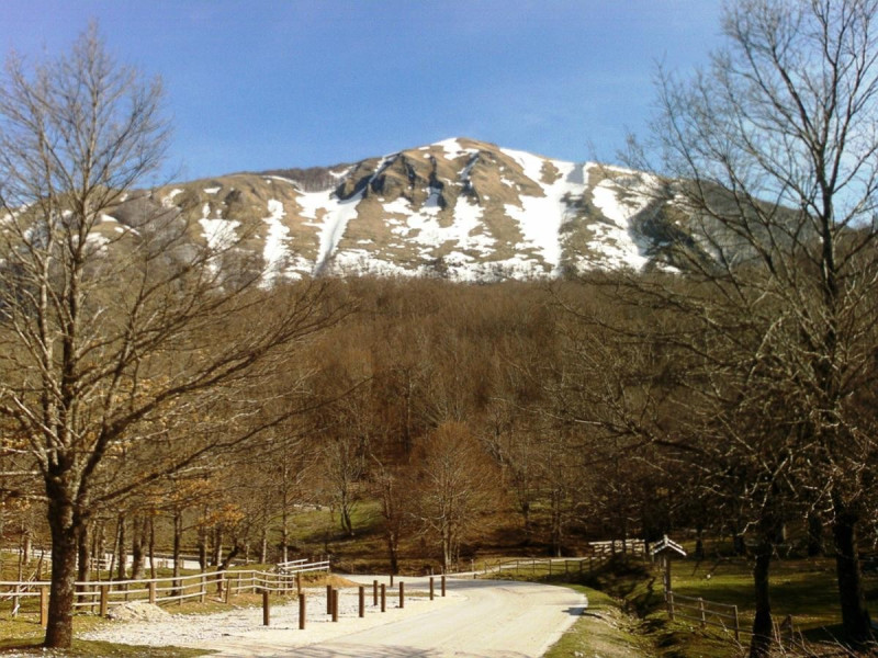 Immagine descrittiva - Di Potito m. petrone di Wikipedia in italiano - Opera propria, CC BY-SA 3.0, https://commons.wikimedia.org/w/index.php?curid=10394716 Immagine descrittiva - Di Potito m. petrone di Wikipedia in italiano - Opera propria, CC BY-SA 3.0, https://commons.wikimedia.org/w/index.php?curid=10394716