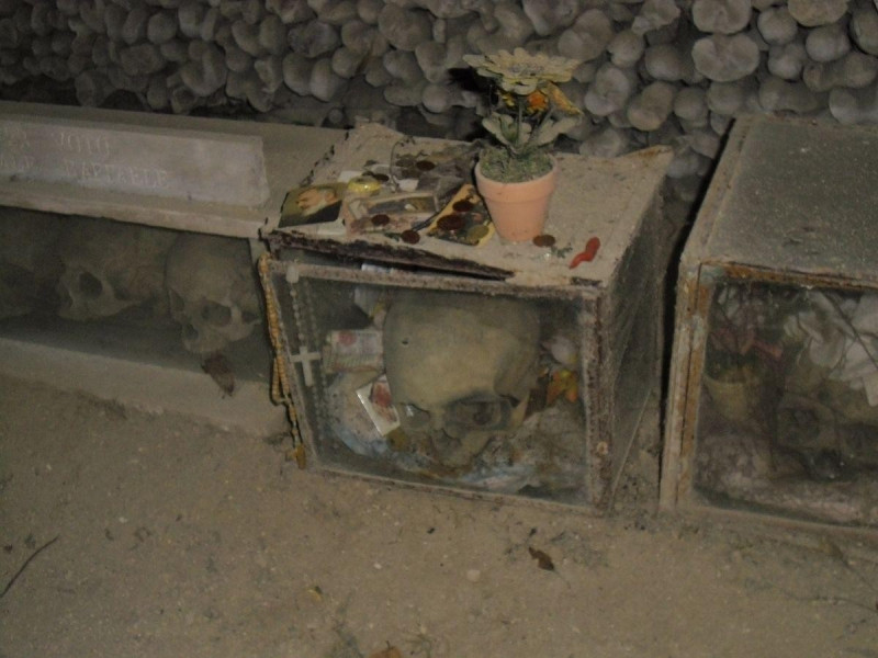 Capuzzella del Capitano Capuzzella del Capitano