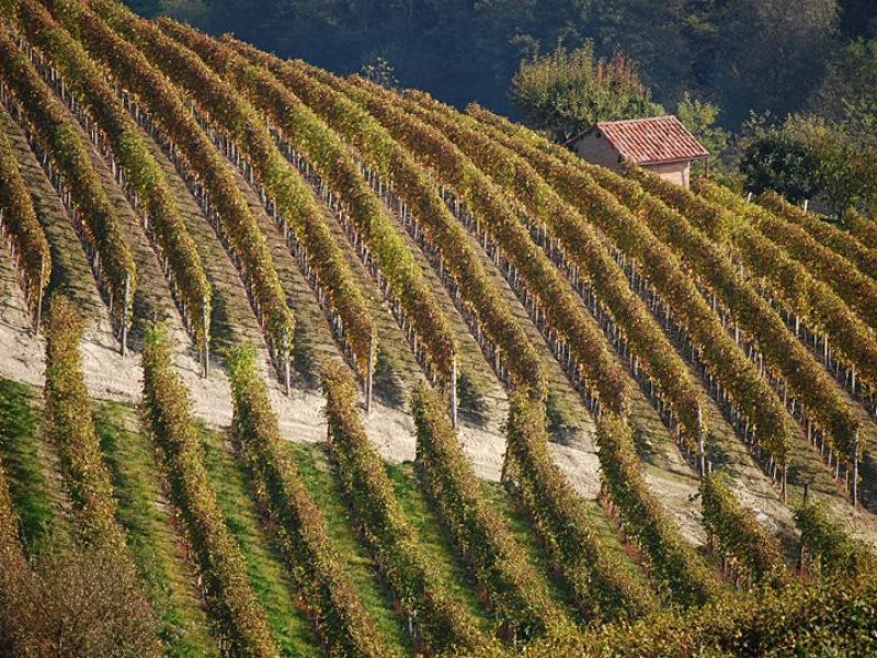 Immagine descrittiva - Di Massimo Telò - Opera propria, CC BY-SA 4.0, https://commons.wikimedia.org/w/index.php?curid=39522480 Immagine descrittiva - Di Massimo Telò - Opera propria, CC BY-SA 4.0, https://commons.wikimedia.org/w/index.php?curid=39522480