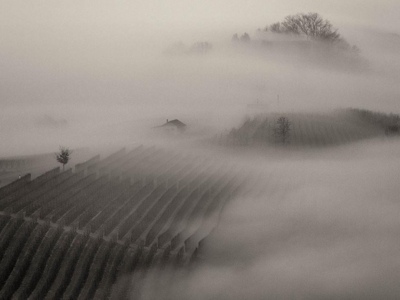 Immagine descrittiva - Di Fulvio Spada from Torino, Italy - Ethereal, CC BY-SA 2.0, https://commons.wikimedia.org/w/index.php?curid=40586613 Immagine descrittiva - Di Fulvio Spada from Torino, Italy - Ethereal, CC BY-SA 2.0, https://commons.wikimedia.org/w/index.php?curid=40586613