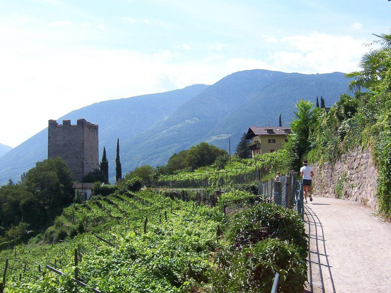 Immagine descrittiva - Di User: Celsius di wikivoyage shared, CC BY-SA 3.0, https://commons.wikimedia.org/w/index.php?curid=22703742