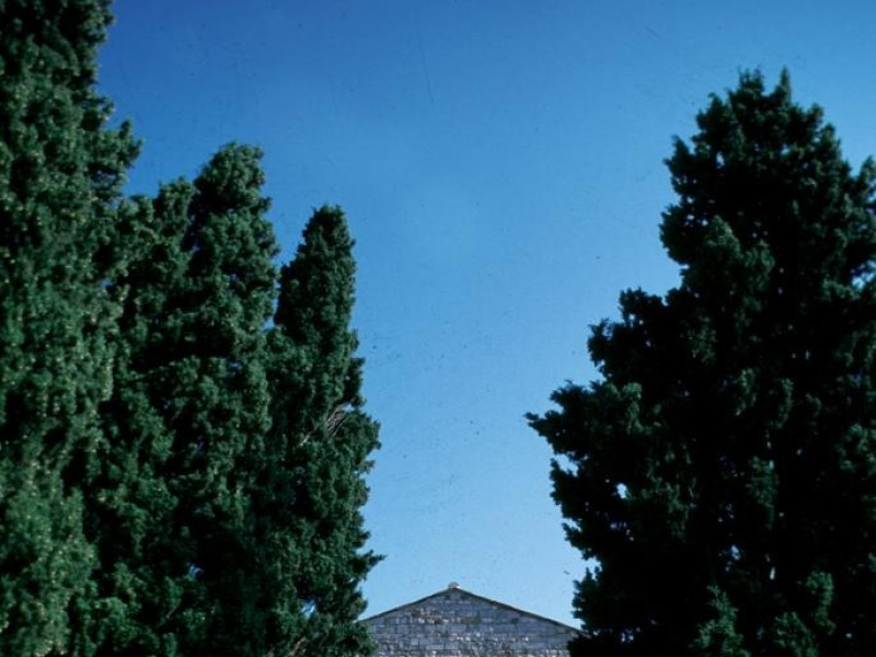 Immagine descrittiva - Immagine descrittiva -