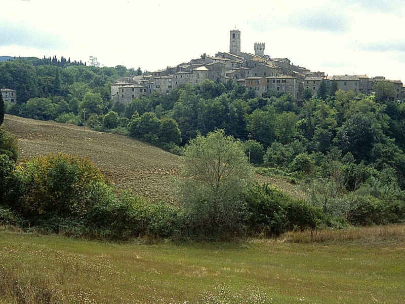 Immagine descrittiva - Immagine descrittiva -