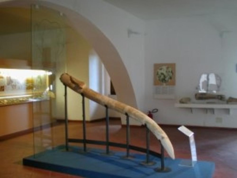 Immagine descrittiva - Immagine descrittiva -