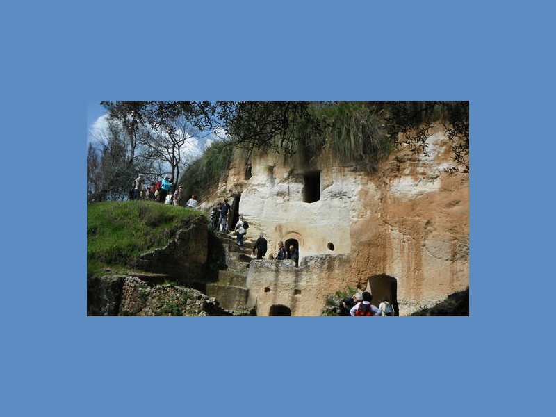 Immagine descrittiva - Immagine descrittiva -
