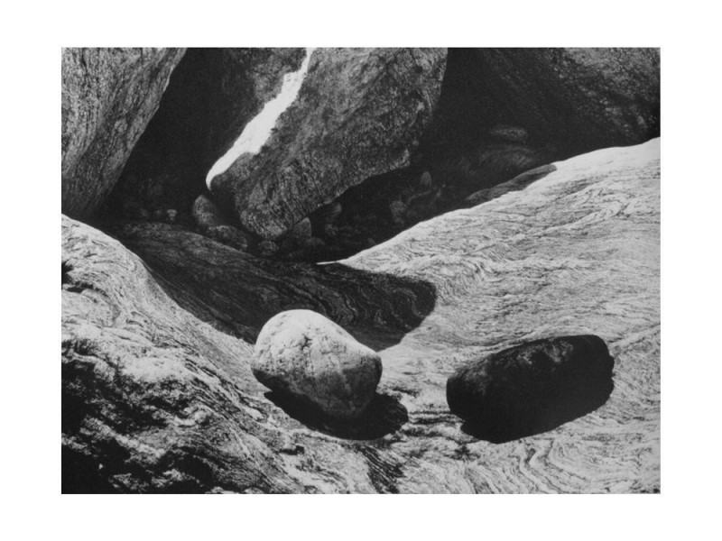 Museo del parco Museo del parco