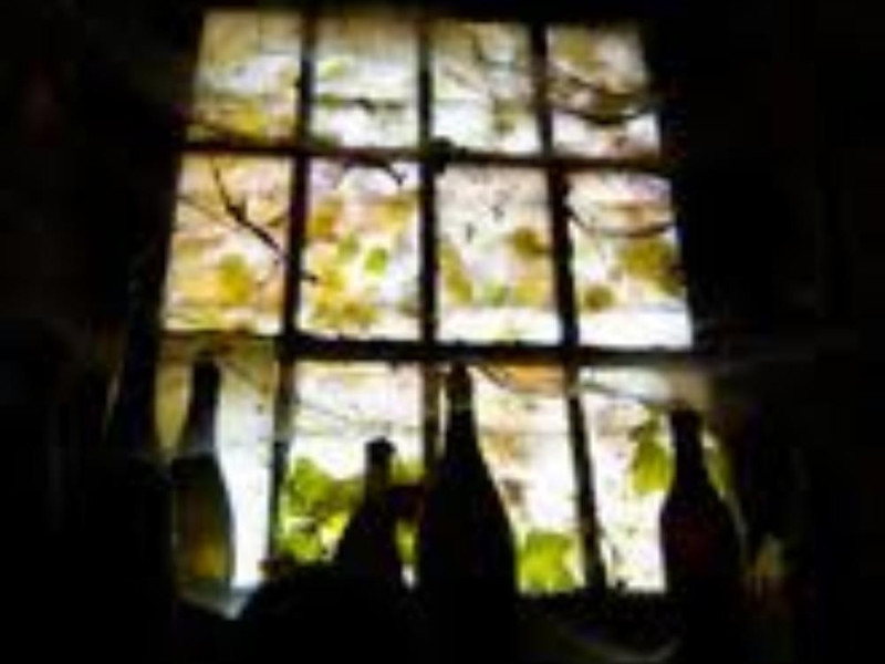 Museo_Ratti Museo_Ratti