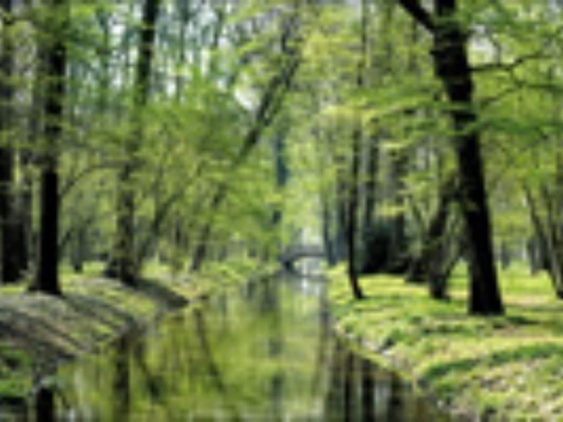 immagini parco immagini parco