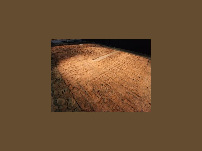 Immagine descrittiva - http://www.lovevda.it/immagini/DisplayImage/32603?width=397&height=292