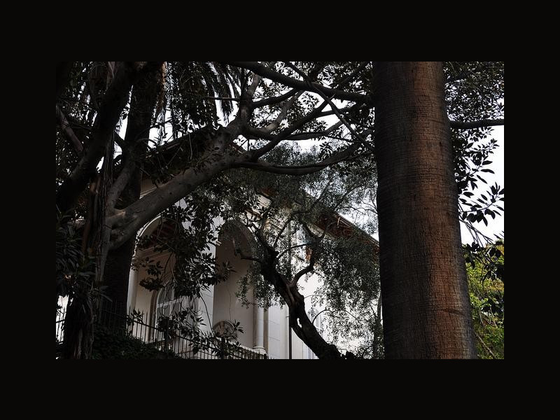 Villa Ormond Villa Ormond