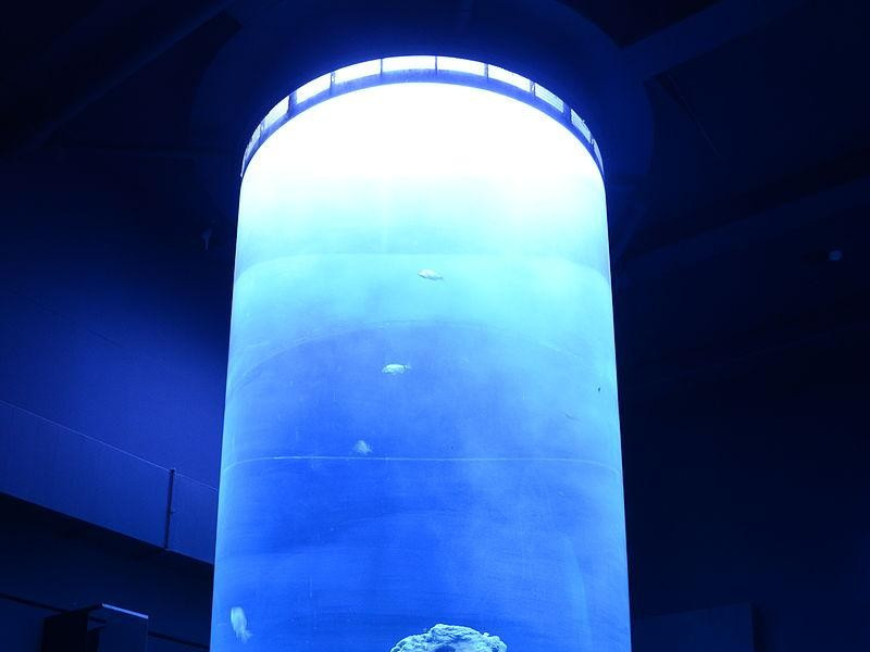 Immagine descrittiva - https://commons.wikimedia.org/wiki/User:Tukka Immagine descrittiva - https://commons.wikimedia.org/wiki/User:Tukka