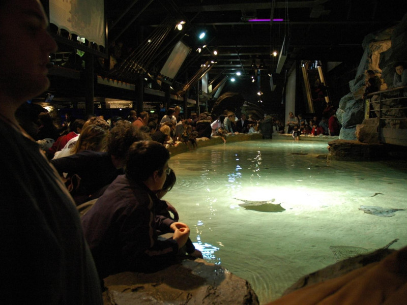 Immagine descrittiva - https://commons.wikimedia.org/wiki/User:Jacopo%20Werther Immagine descrittiva - https://commons.wikimedia.org/wiki/User:Jacopo%20Werther