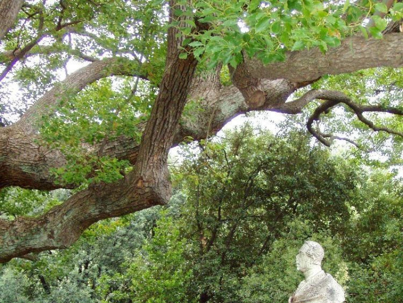 Il parco Il parco