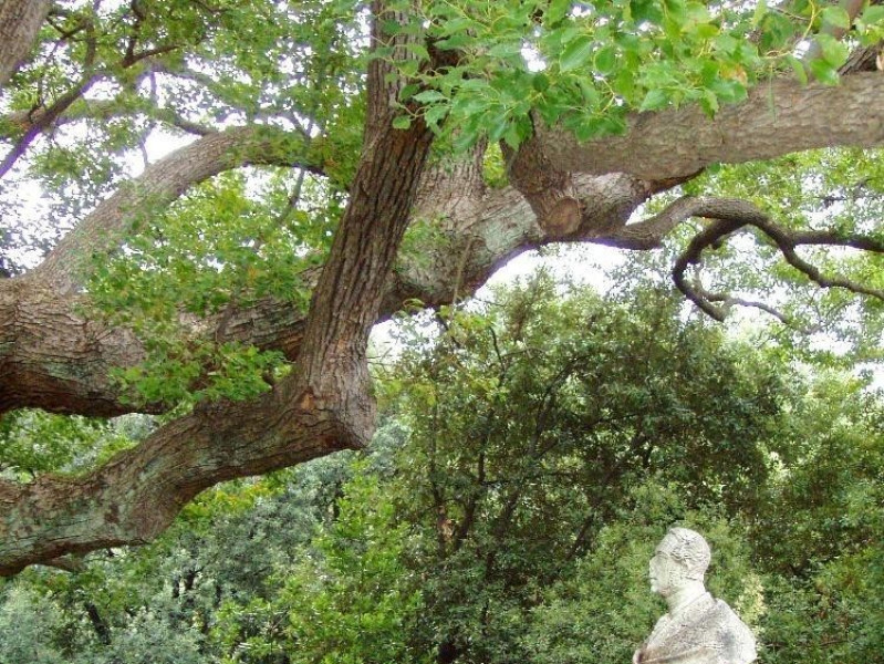 Il parco Il parco