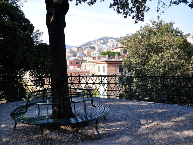 Immagine descrittiva - https://commons.wikimedia.org/wiki/User:Mariooch