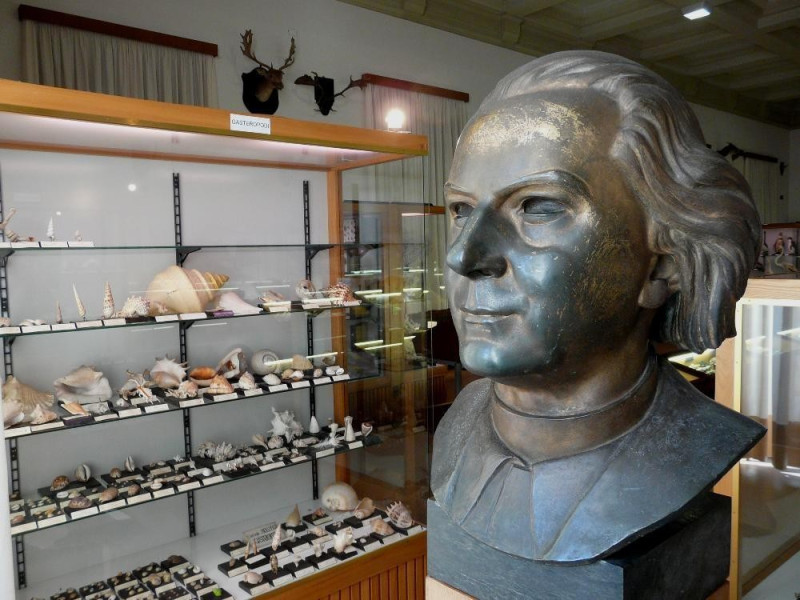 Venegono Inferiore, Museo di Storia Naturale A. Stoppani