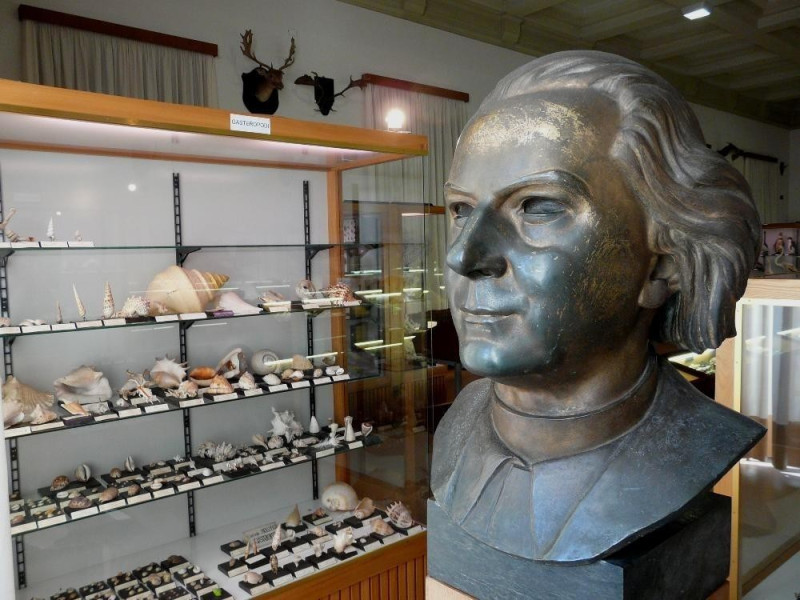 Venegono Inferiore, Museo di Storia Naturale A. Stoppani