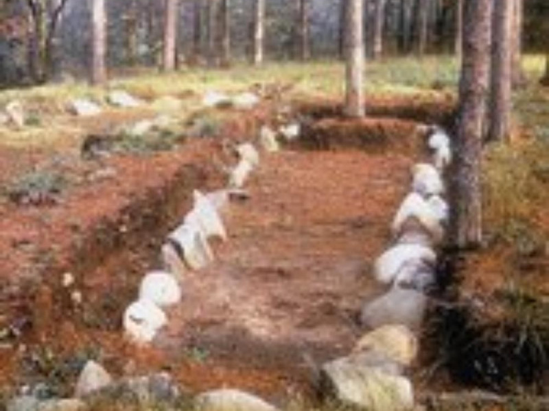 Golasecca, Area Archeologica Monsorino di Golasecca Golasecca, Area Archeologica Monsorino di Golasecca