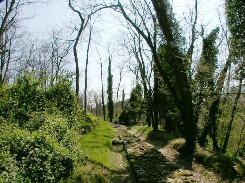 Castelseprio, Parco Archeologico e Antiquarium Castelseprio, Parco Archeologico e Antiquarium