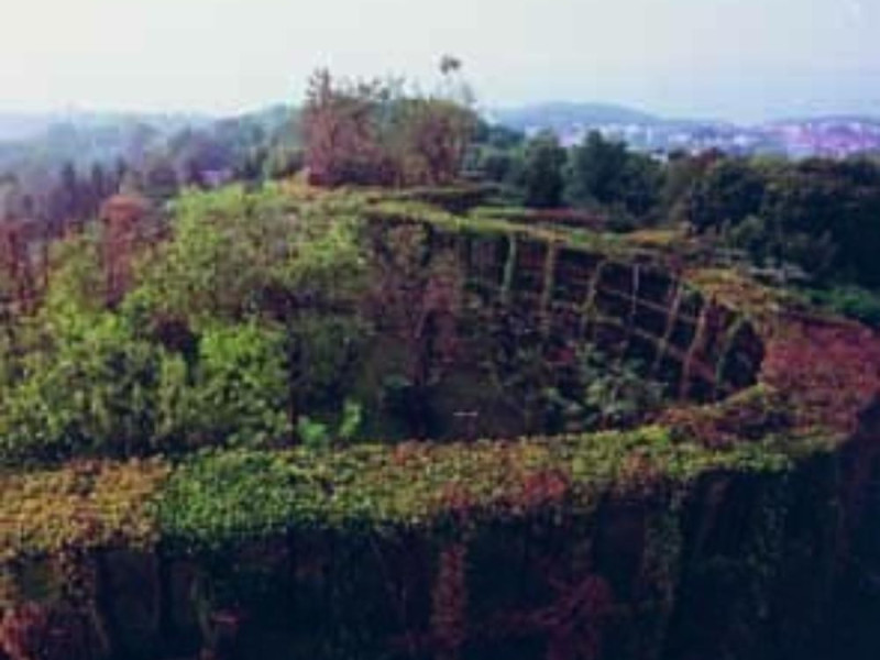 Raccolta museale dell'avifauna  